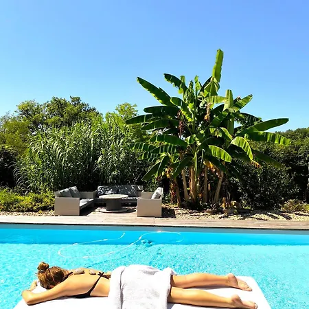 Cocon De Verdure Avec Piscine Lit King-size 2m Bed and Breakfast 4*