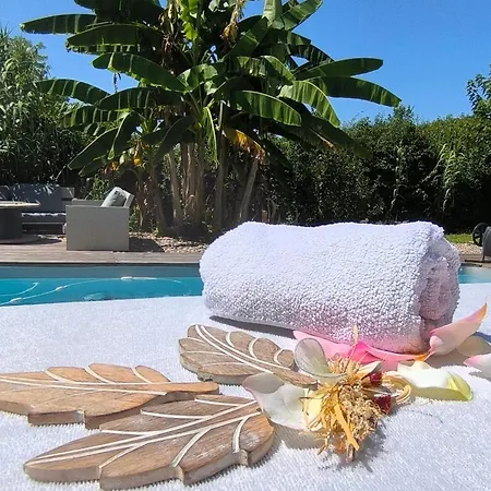 Cocon De Verdure Avec Piscine Lit King-size 2m Bed and Breakfast