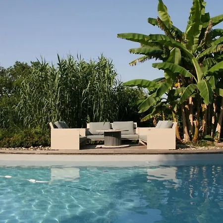 Cocon De Verdure Avec Piscine Lit King-size 2m Bed & Breakfast Lusignan-Petit