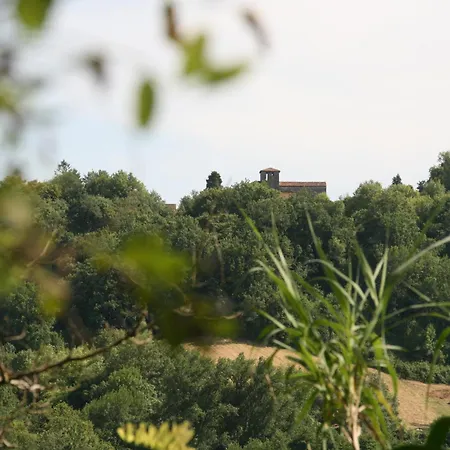 Cocon De Verdure Avec Piscine Lit King-size 2m