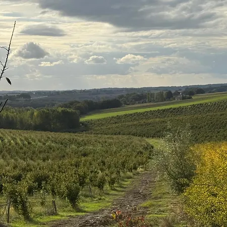 Cocon De Verdure Avec Piscine Lit King-size 2m