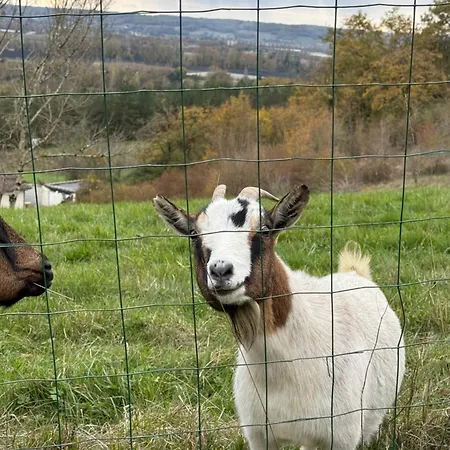 Bed & Breakfast Cocon De Verdure Avec Piscine Lit King-size 2m Lusignan-Petit