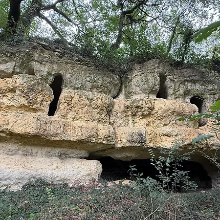 Cocon De Verdure Avec Piscine Lit King-size 2m Bed & Breakfast 4*