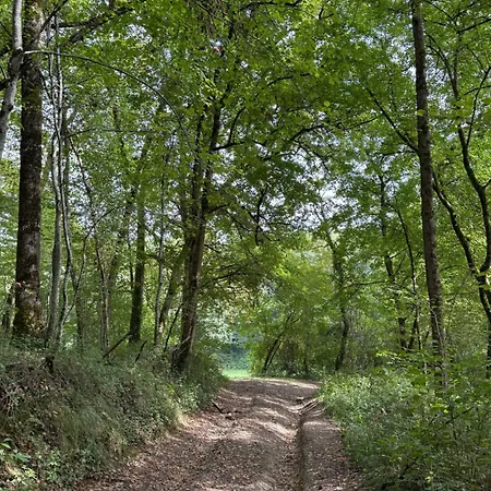 Bed & Breakfast Cocon De Verdure Avec Piscine Lit King-size 2m 4*