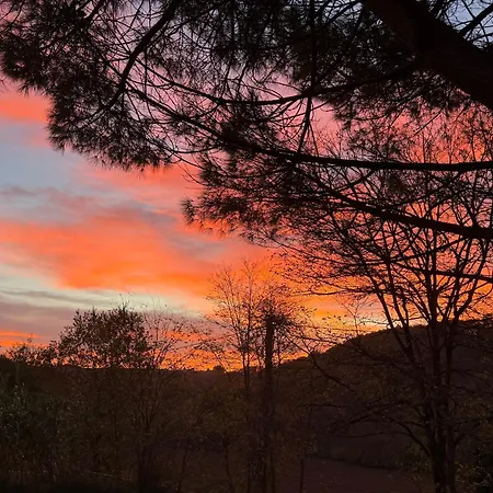 Cocon De Verdure Avec Piscine Lit King-size 2m Lusignan-Petit