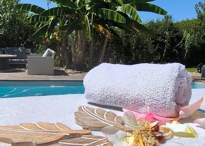 Cocon De Verdure Avec Piscine Lit King-size 2m 住宿加早餐酒店