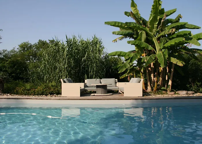 Cocon De Verdure Avec Piscine Lit King-size 2m 住宿加早餐酒店 Lusignan-Petit