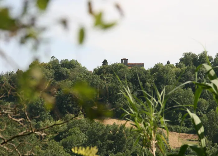 Cocon De Verdure Avec Piscine Lit King-size 2m