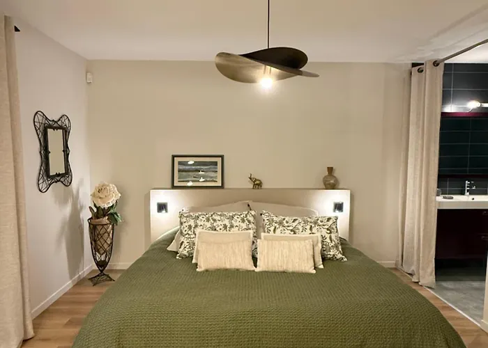 住宿加早餐酒店 Cocon De Verdure Avec Piscine Lit King-size 2m