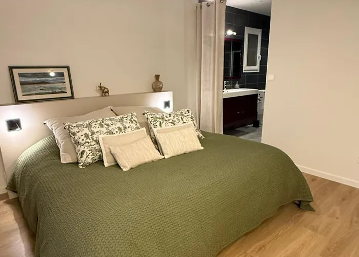 Cocon De Verdure Avec Piscine Lit King-size 2m 住宿加早餐酒店 4*