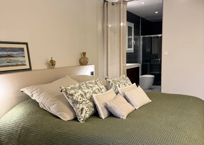 Cocon De Verdure Avec Piscine Lit King-size 2m 住宿加早餐酒店 4*