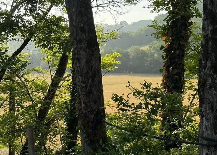 住宿加早餐酒店 Cocon De Verdure Avec Piscine Lit King-size 2m