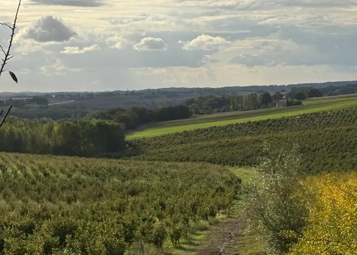 Cocon De Verdure Avec Piscine Lit King-size 2m