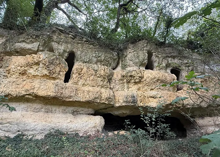 Cocon De Verdure Avec Piscine Lit King-size 2m 住宿加早餐酒店 4*