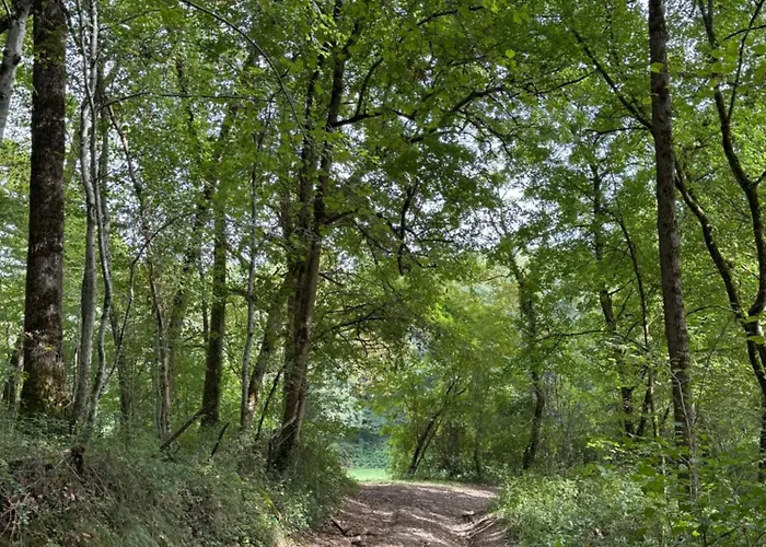 住宿加早餐酒店 Cocon De Verdure Avec Piscine Lit King-size 2m 4*