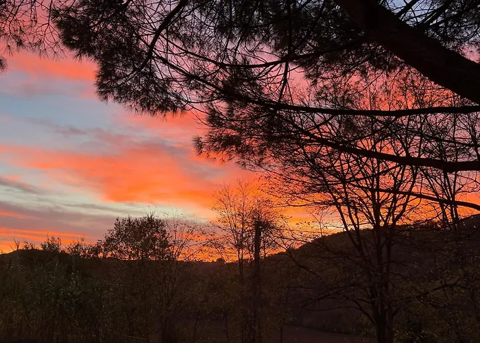 Cocon De Verdure Avec Piscine Lit King-size 2m Lusignan-Petit